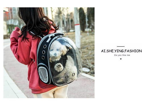 便攜透明寵物背包 湯河店太空貓包艙，出行新選擇